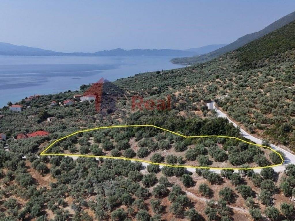 Εξωτερικοι χώροι