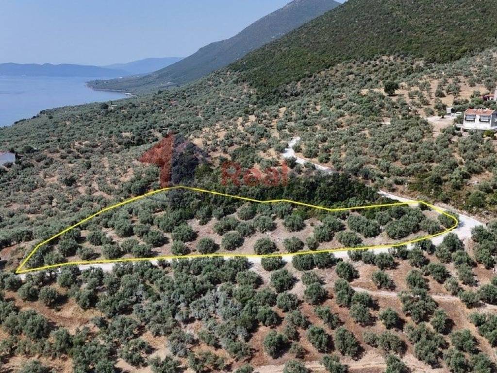 Εξωτερικοι χώροι