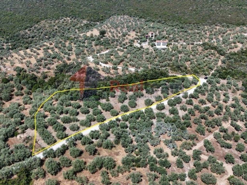 Εξωτερικοι χώροι