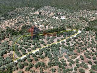 Εξωτερικοι χώροι