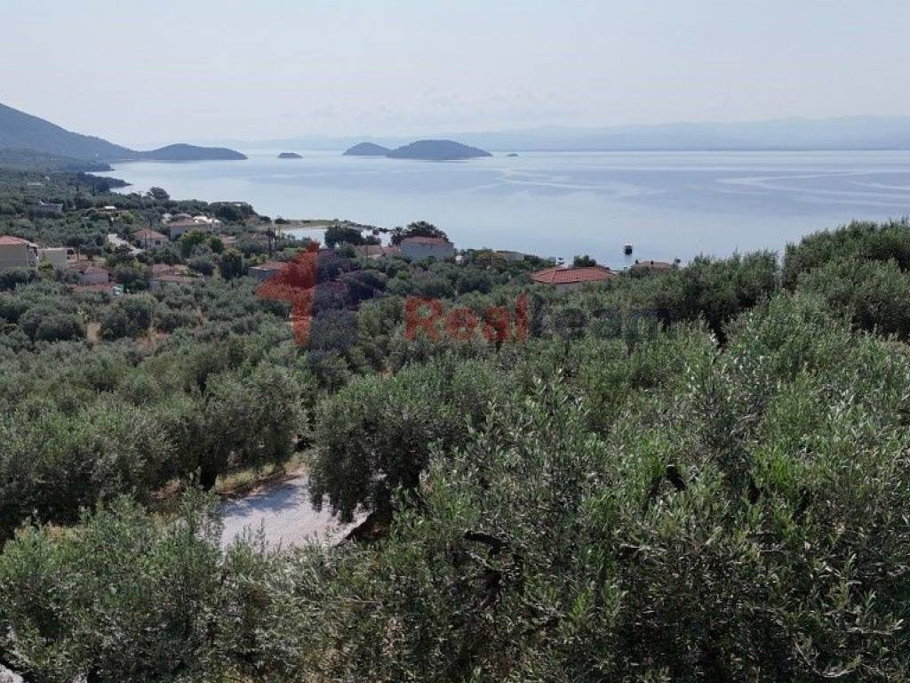 Εξωτερικοι χώροι