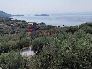 Εξωτερικοι χώροι