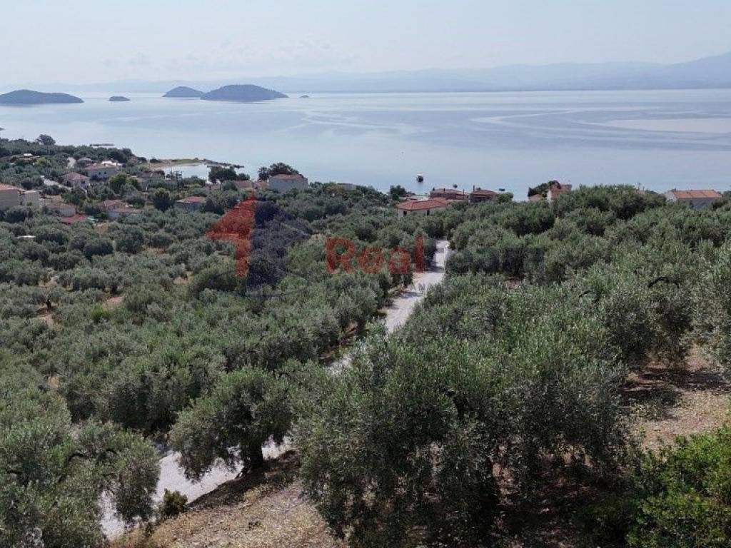 Εξωτερικοι χώροι