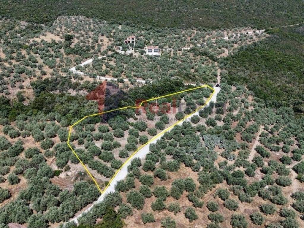 Εξωτερικοι χώροι