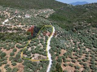 Εξωτερικοι χώροι