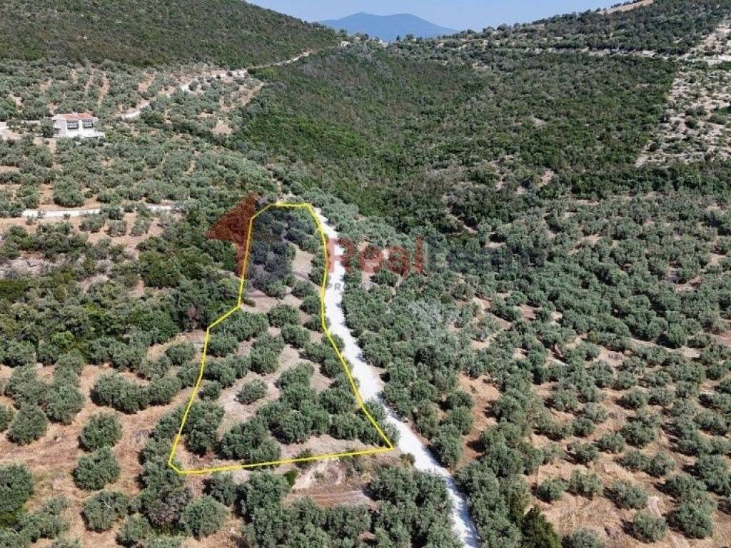 Εξωτερικοι χώροι