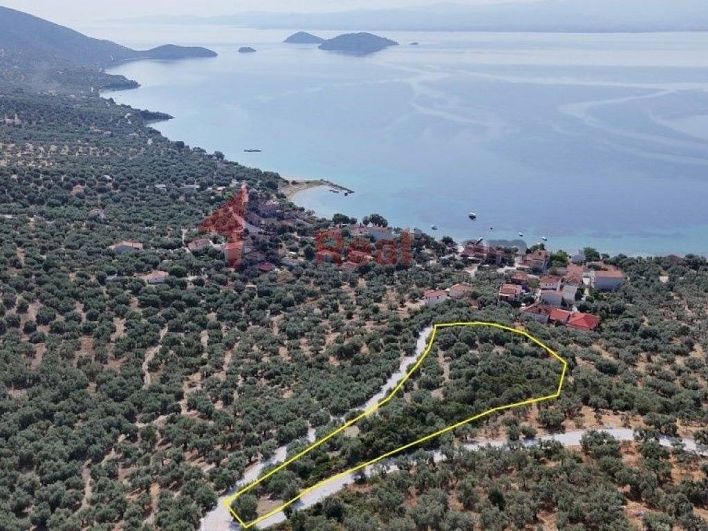 Εξωτερικοι χώροι