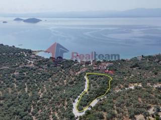 Εξωτερικοι χώροι