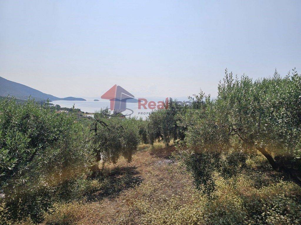 Εξωτερικοι χώροι