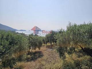 Εξωτερικοι χώροι