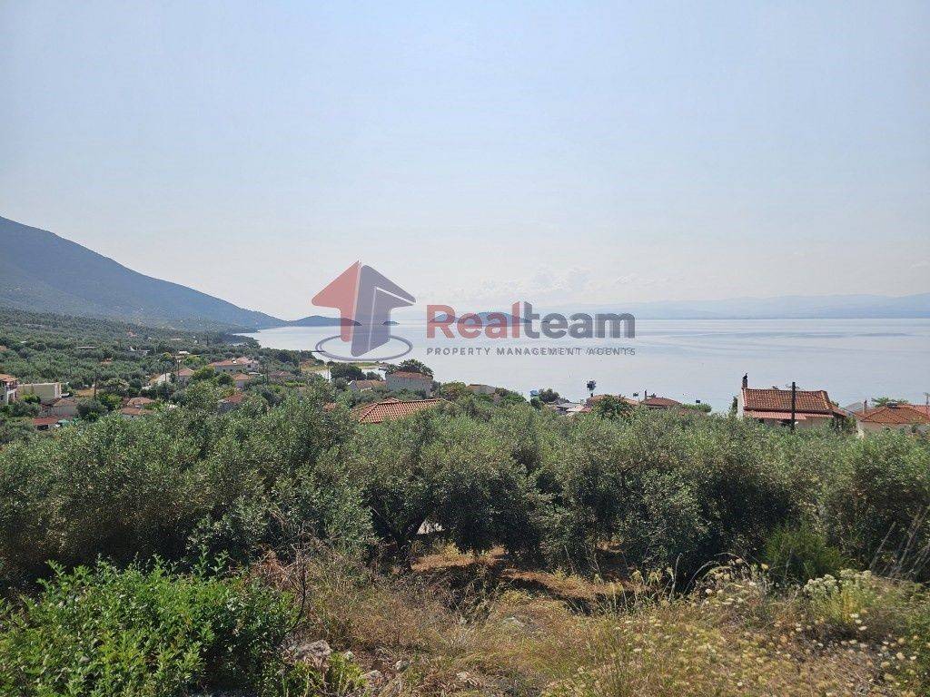 Εξωτερικοι χώροι