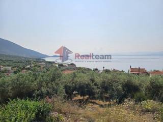 Εξωτερικοι χώροι