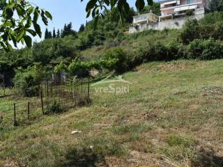 ΑΠΟΨΗ ΟΙΚΟΠΕΔΟΥ