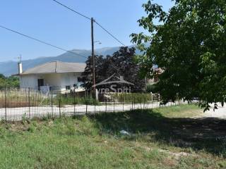 ΑΠΟΨΗ ΟΙΚΟΠΕΔΟΥ