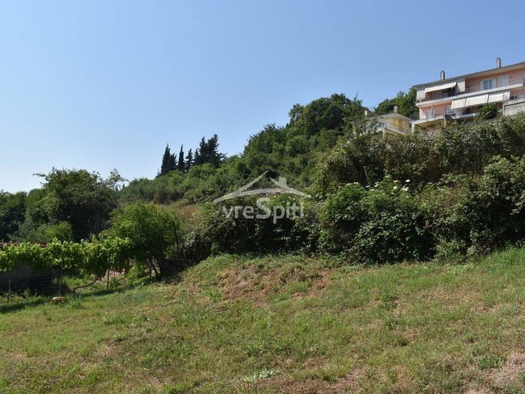 ΑΠΟΨΗ ΟΙΚΟΠΕΔΟΥ