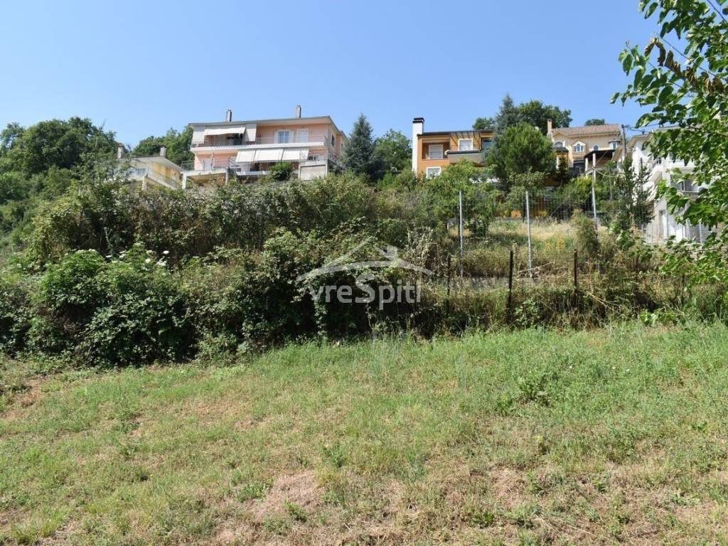 ΑΠΟΨΗ ΟΙΚΟΠΕΔΟΥ