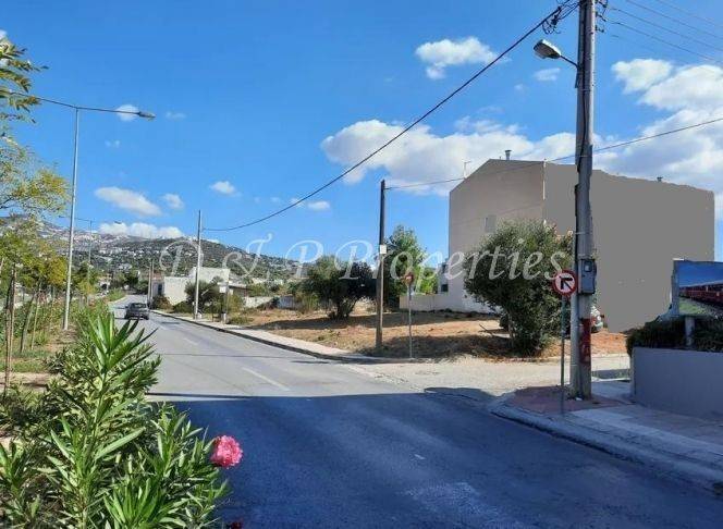 Άποψη οικοπέδου