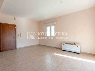 Σαλοκουζίνα