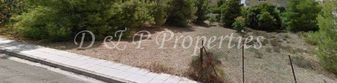 Άποψη οικοπέδου