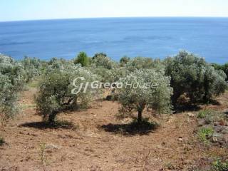 Οικόπεδο με ιδιωτική παραλία στην Ελλάδα