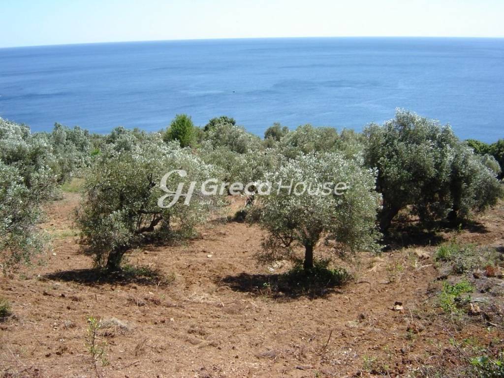 Οικόπεδο με ιδιωτική παραλία στην Ελλάδα