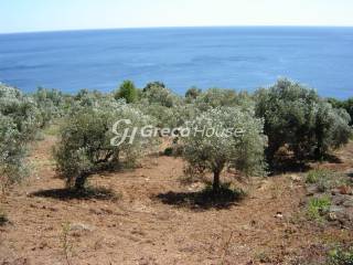 Οικόπεδο με ιδιωτική παραλία στην Ελλάδα