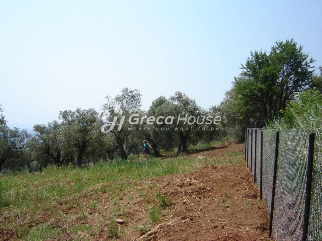 Οικόπεδο με ιδιωτική παραλία στην Ελλάδα