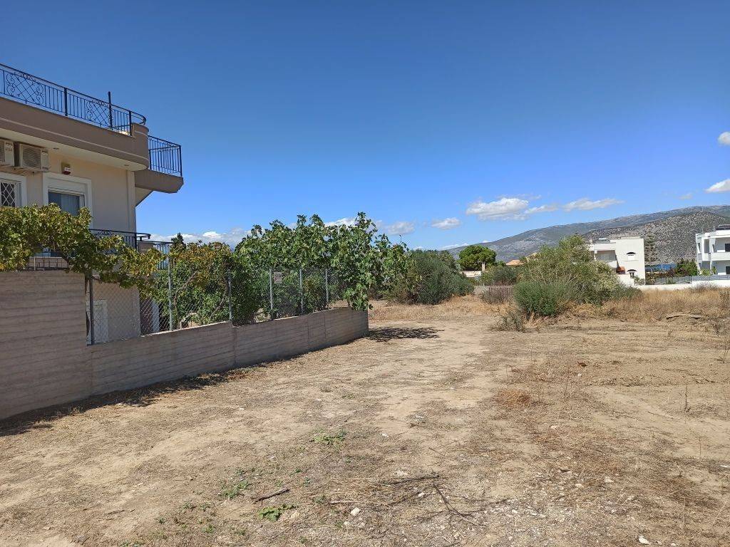 PROSOPSE 20 m. SE IDIOTIKE ODO PLATOYS 4 m.