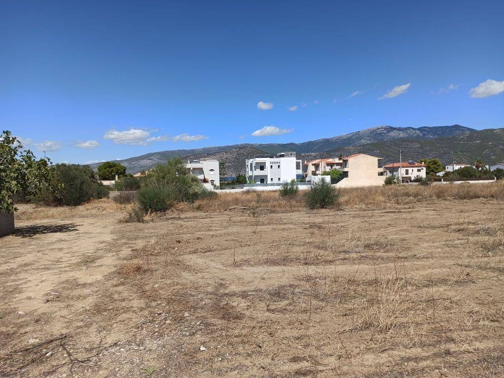 ΠΡΟΣΟΨΗ 20 μ. ΣΕ ΙΔΙΩΤΙΚΗ ΟΔΟ ΠΛΑΤΟΥΣ 4 μ.