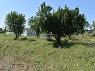 ΑΠΟΨΗ ΟΙΚΟΠΕΔΟΥ