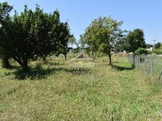 ΑΠΟΨΗ ΟΙΚΟΠΕΔΟΥ