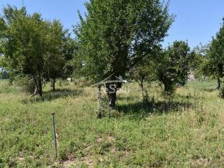 ΑΠΟΨΗ ΟΙΚΟΠΕΔΟΥ