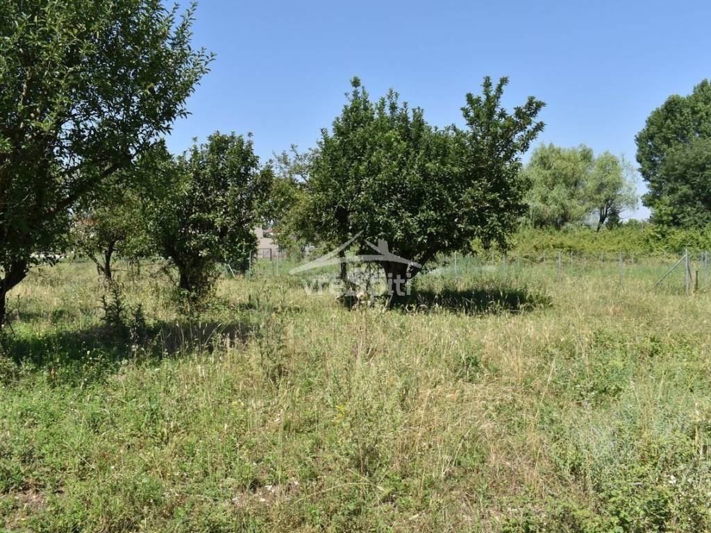 ΑΠΟΨΗ ΟΙΚΟΠΕΔΟΥ