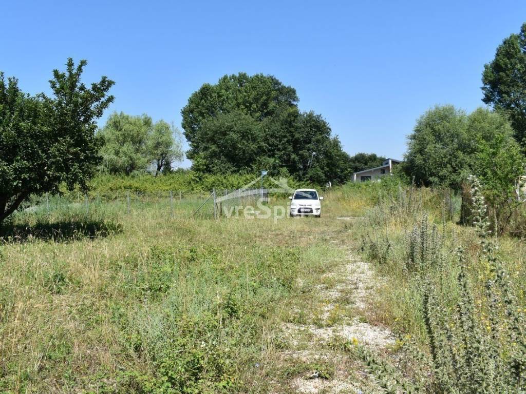 ΑΠΟΨΗ ΟΙΚΟΠΕΔΟΥ