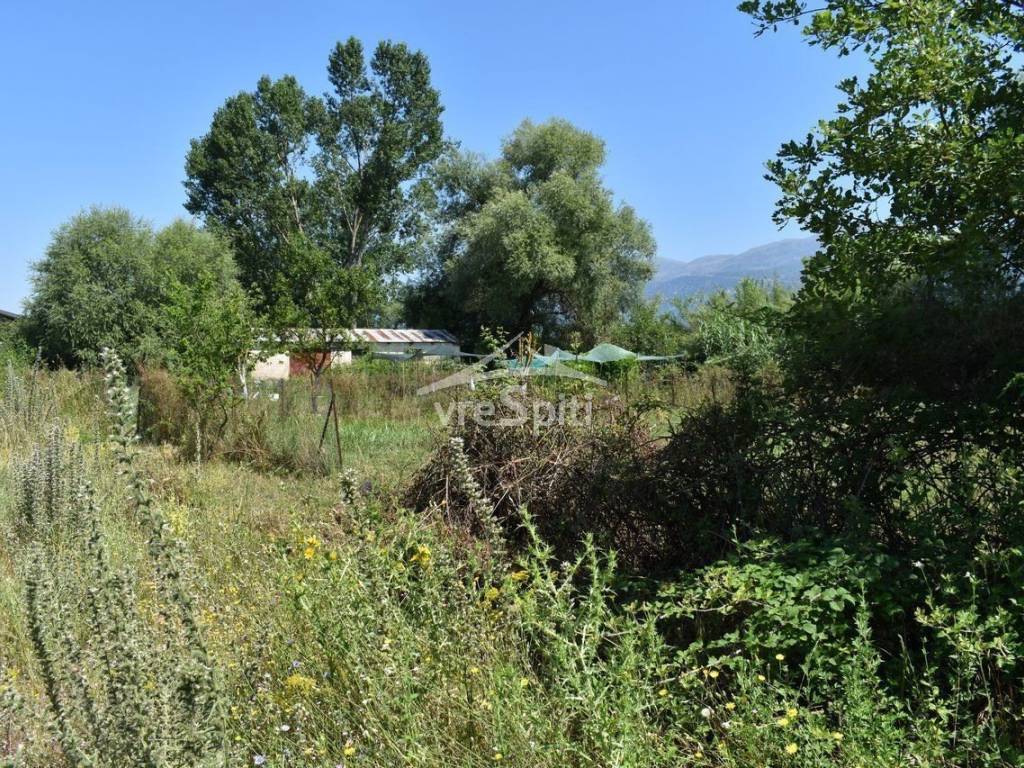 ΑΠΟΨΗ ΟΙΚΟΠΕΔΟΥ