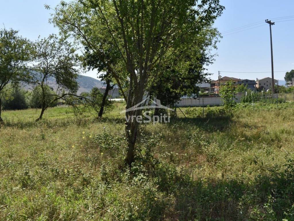 ΑΠΟΨΗ ΟΙΚΟΠΕΔΟΥ