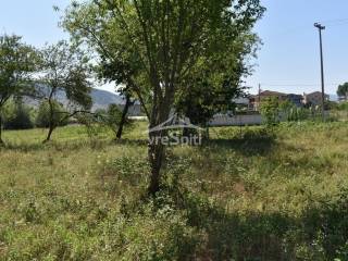 ΑΠΟΨΗ ΟΙΚΟΠΕΔΟΥ