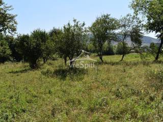 ΑΠΟΨΗ ΟΙΚΟΠΕΔΟΥ