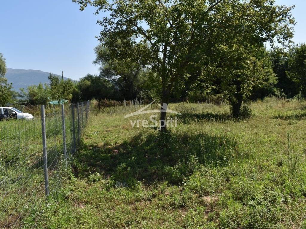 ΑΠΟΨΗ ΟΙΚΟΠΕΔΟΥ