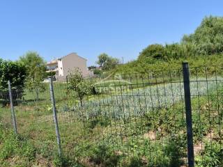 ΑΠΟΨΗ ΟΙΚΟΠΕΔΟΥ