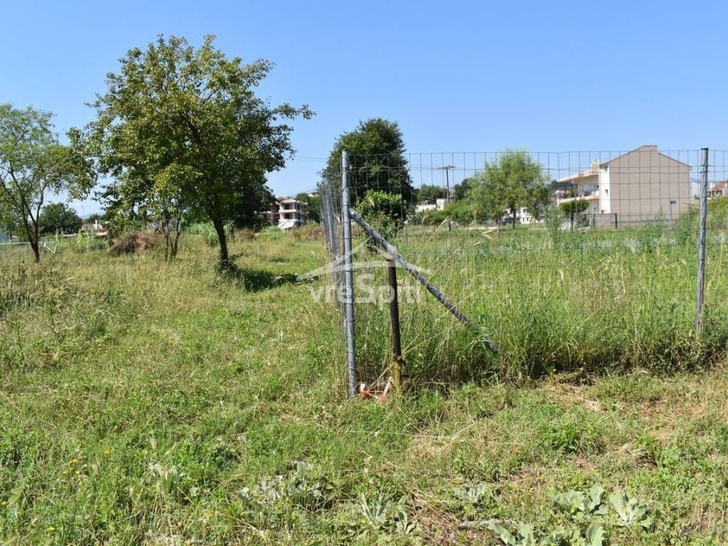 ΑΠΟΨΗ ΟΙΚΟΠΕΔΟΥ