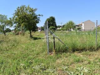 ΑΠΟΨΗ ΟΙΚΟΠΕΔΟΥ