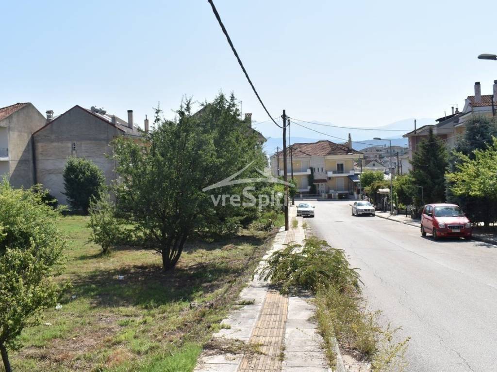 ΑΠΟΨΗ ΟΙΚΟΠΕΔΟΥ