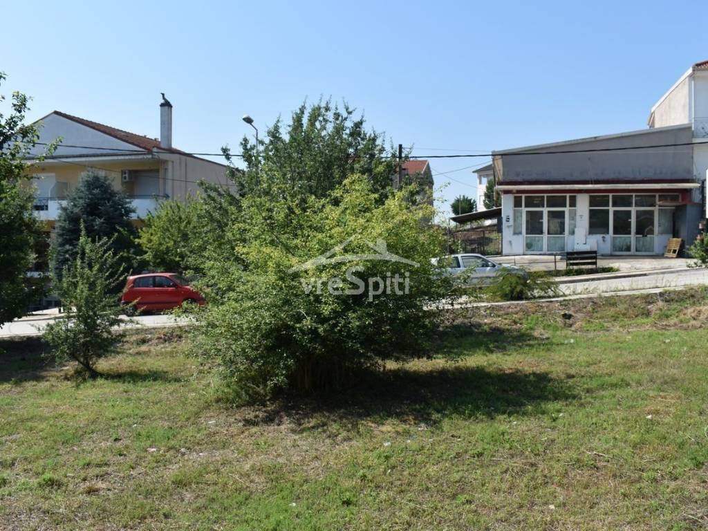 ΑΠΟΨΗ ΟΙΚΟΠΕΔΟΥ