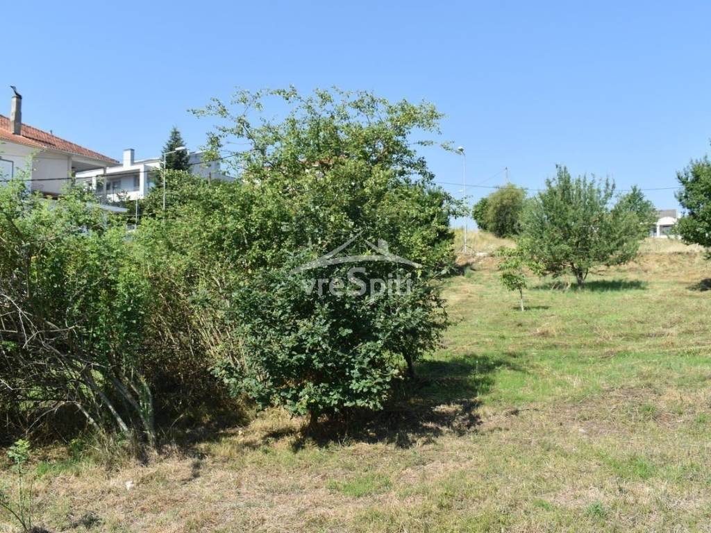 ΑΠΟΨΗ ΟΙΚΟΠΕΔΟΥ