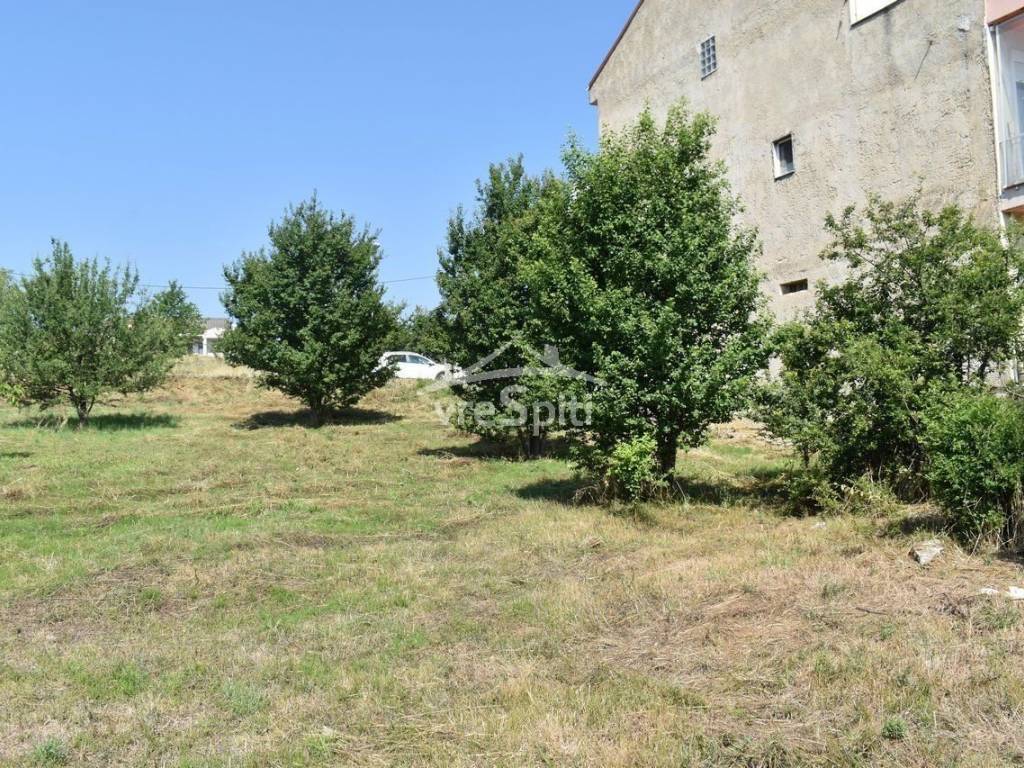 ΑΠΟΨΗ ΟΙΚΟΠΕΔΟΥ