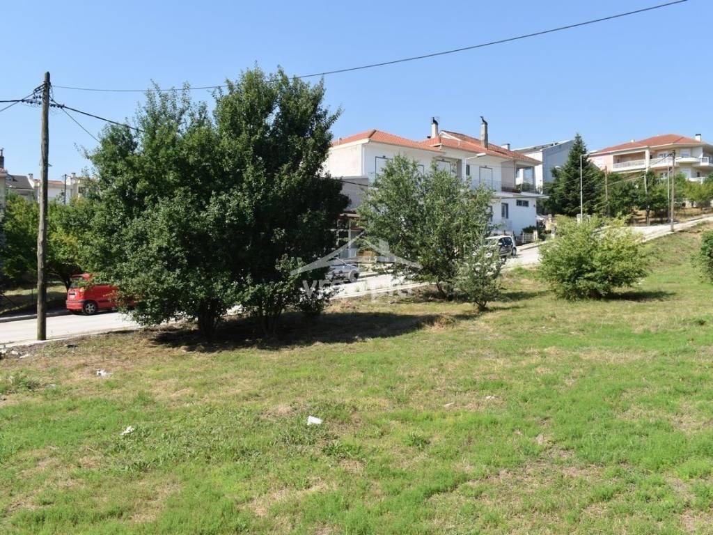 ΑΠΟΨΗ ΟΙΚΟΠΕΔΟΥ