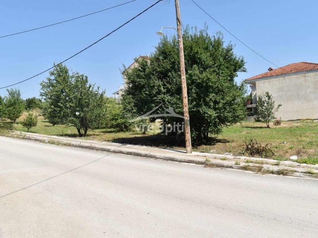 ΑΠΟΨΗ ΟΙΚΟΠΕΔΟΥ