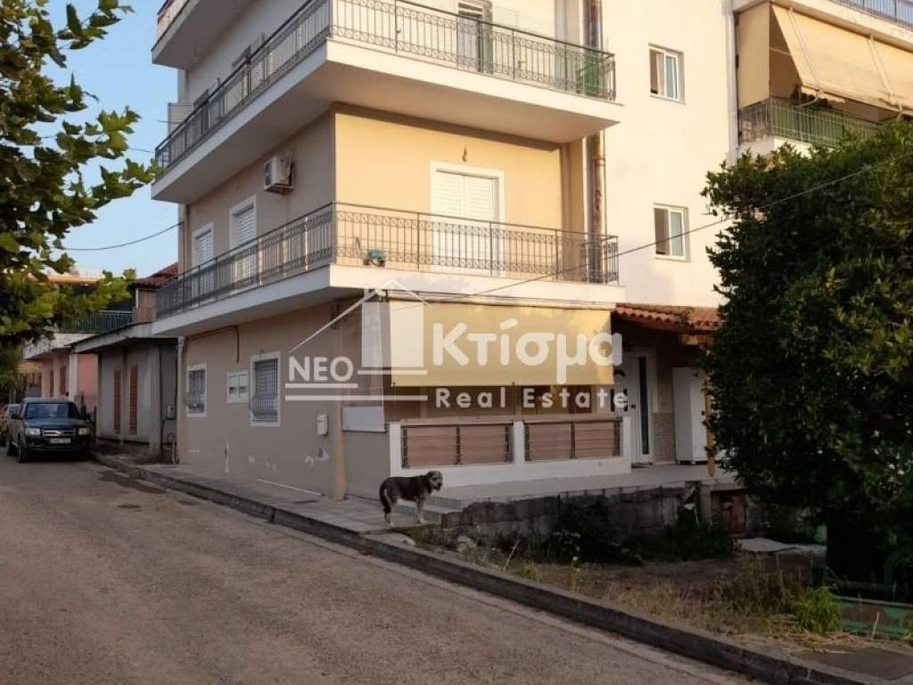 Εξωτερικός χώρος