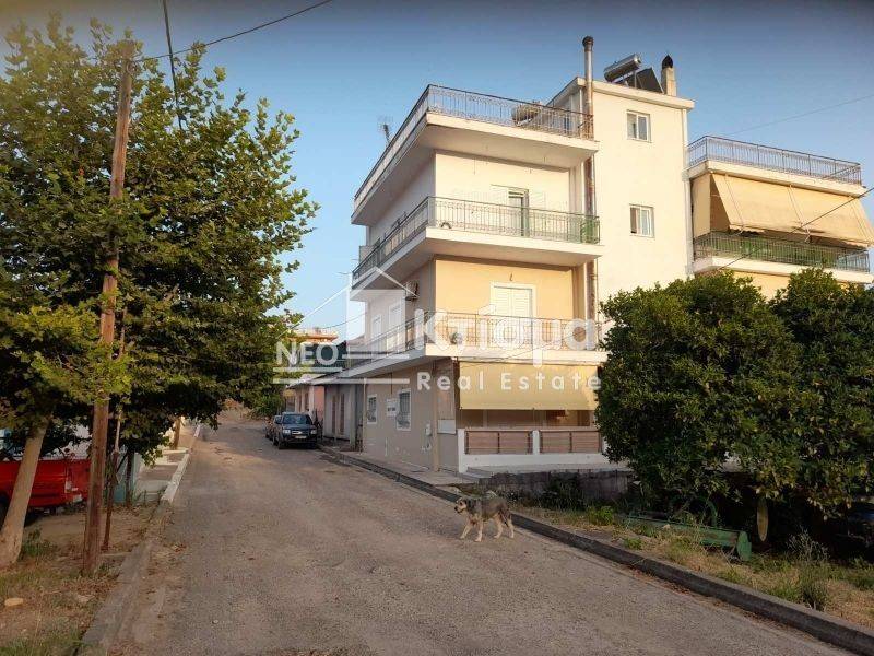 Εξωτερικός χώρος